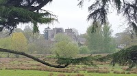 Powderham Castle 1072408 Image 8